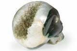 Polished Banded Agate Skull with Quartz Crystal Pocket #237000-3